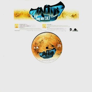 Tonytruand aka TNT - Promo EP - Vinyl EP