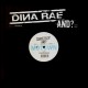 Dina Rae - And ? / Can't even see it / Hit of ma / 'Round here - 12''