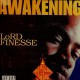 Lord Finesse - The awakening - LP