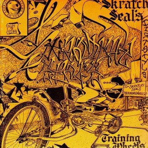 Q-Bert - Skratchy Seals Training Wheels - LP