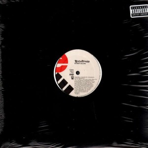 Busta Rhymes - Turn it up / Fire it up / Rhymes galore - 12''