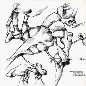 Oddjobs - Dry bones - 12''