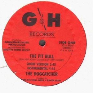 The Dogcatcher - The pit bull - 12''