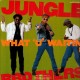 Jungle Brothers - What 'u' waiting 4 ? / J.Beez comin' through - 12''