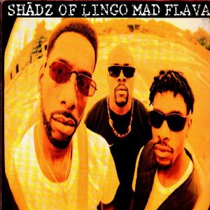 Shadz Of Lingo - Mad flavaz - 12''