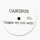 Canibus - Niggas we roll with - 12''