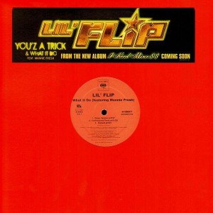Lil' Flip - You'z a trick / What it do (feat. Mannie Fresh) - 12''