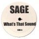 Sage - Whats that sound / Can you feel it - 12''