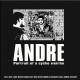 Andy Bandy - Andre - Portrait of a cycko weirdo - LP