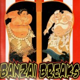 DJ $hin - Banzai breaks - LP